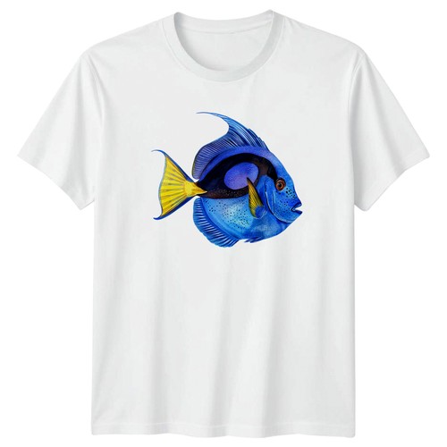 Blue tang tropical fish - tang,