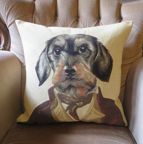 Wire haired dachshund - dachshund, weiner