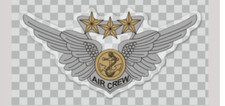 6" MILITARY AIR CREW WINGS