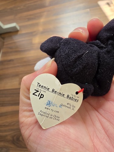 Teenie beanie baby cat - teenie,