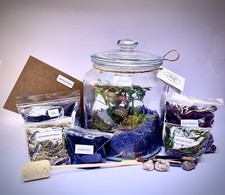 DIY Terrarium Full Kit With