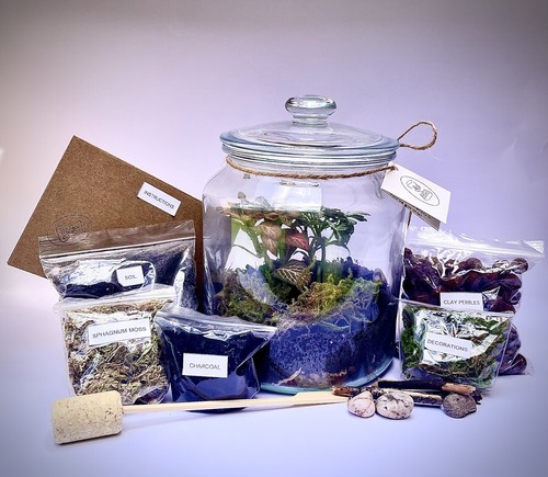 Diy terrarium full - diy,