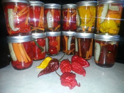 Fresh pickled carolina - pickled,