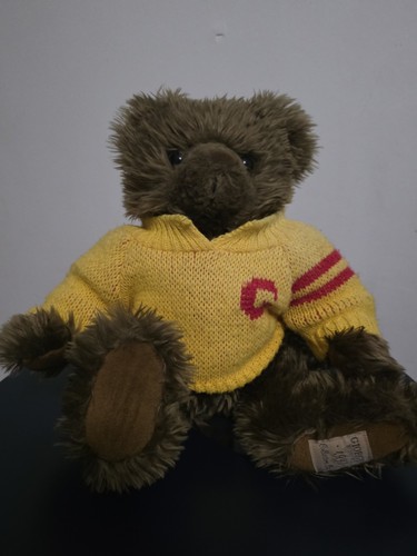 Giorgio bear - giorgio,