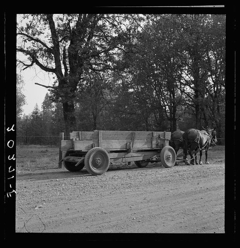 Photo kirby oregon 1939 - oregon, horse