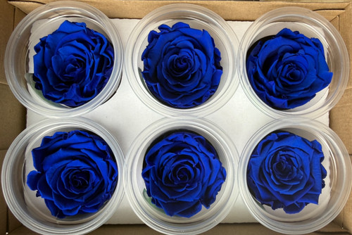 Blue preserved real roses - 12,