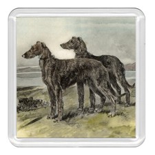 Deerhound Dogs Dog Acrylic