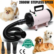 2800W Dog Pet Hair Dryer