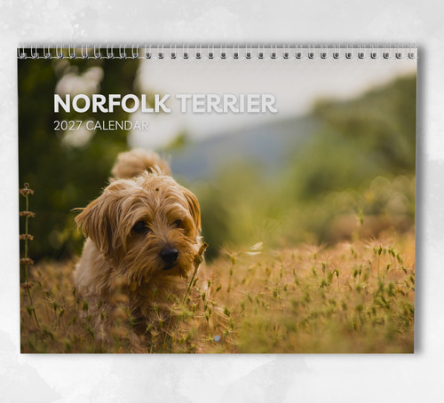 Norfolk terrier calendar 2027 - norfolk,