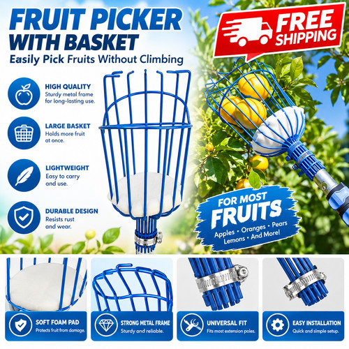 Best garden fruit - fruit, harvest