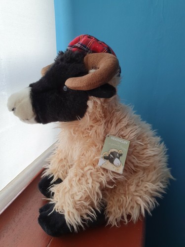 Heathcliff the highland sheep - the,