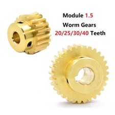 Module 1.5M Brass Worm Gear