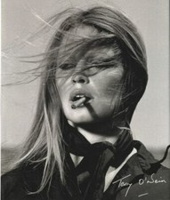 Terry O'Neill : The Opus by