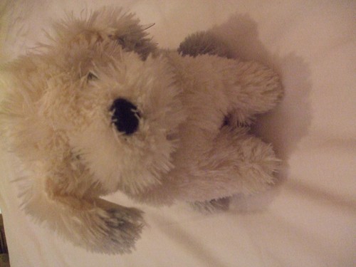 New cuddles time - new, soft