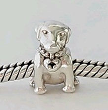 Genuine Pandora Bracelet Charm