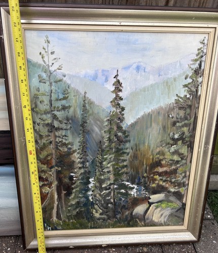 Peaceful still life forest - peaceful,