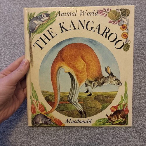 The kangaroo animal world by - the,