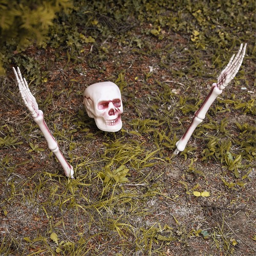 Skeleton bones halloween - skeleton,