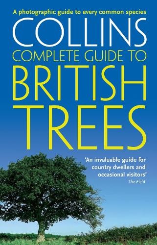 British trees photographic - a,