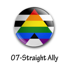 The Original LGBT/LGBTQIA+ 25mm/1 Inch Pride Flag Badges (81 To Choose From) Gay