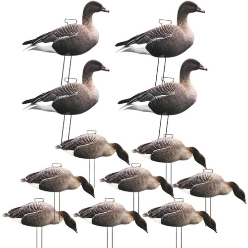 Silhouette pinkfoot goose - pinkfoot,