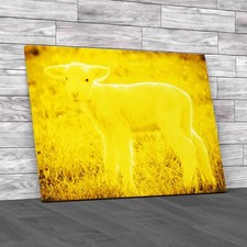 A White Suffolk Lamb Sheep Yellow Canvas Print Large Picture Wall Art