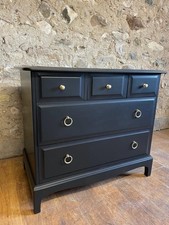 BEAUTIFUL BLACK STAG MINSTREL