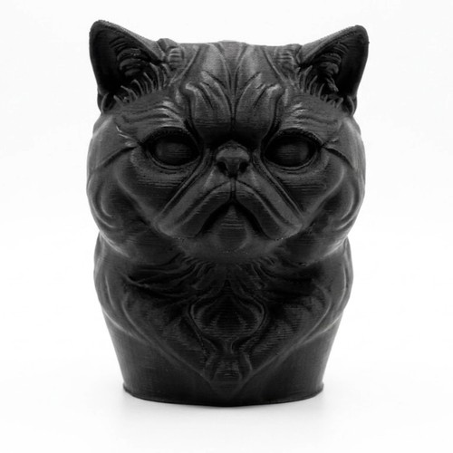 Exotic shorthair cat bust - cat,
