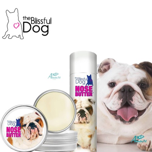 British bulldog blissful dog - british,