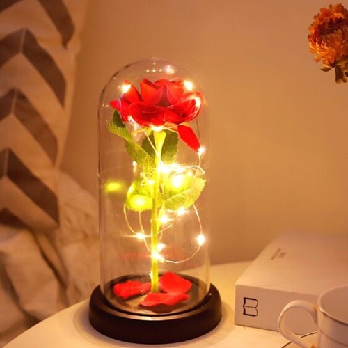 Forever flower rose christmas - rose,