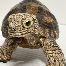 1997 Tortoise Safari Ltd 5”