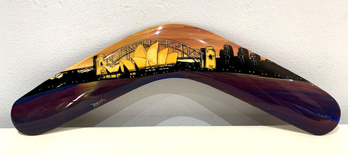 Waterhole dreaming boomerang - waterhole,