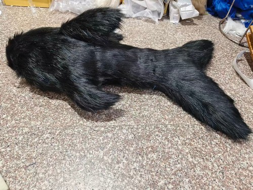 Fursuit long haired dog fox - fursuit,