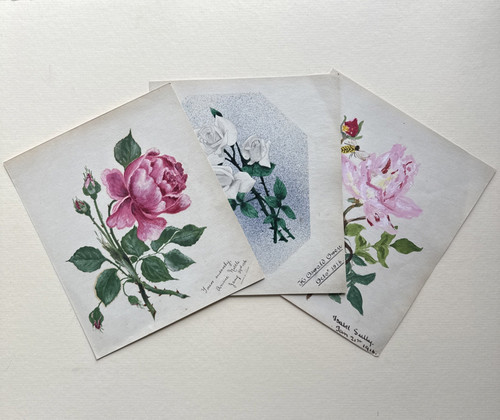 1916 original botanical - 1916,