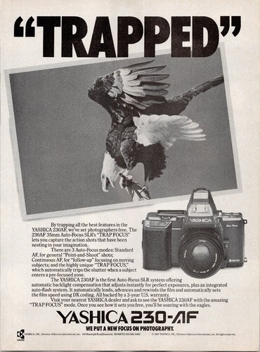 Yashica 230 camera trapped - 230-af,