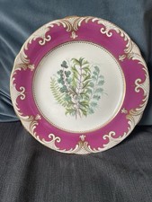 Vintage Floral Decorative Relief Victorian Plate Alcock Brownfield Antique