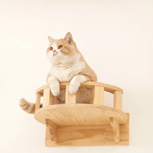 Cat wall shelves - wall,