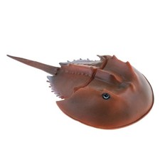 Realistic Animal Model Figure