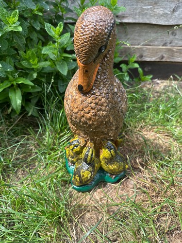 Vintage duck and - and, duckings