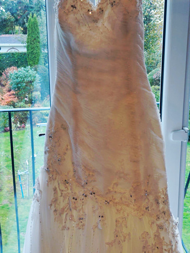 Sophia tolli sweetheart - tolli,