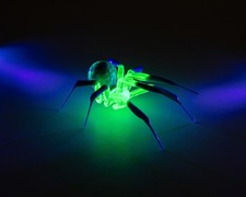 Teal Glowing Glass Spider