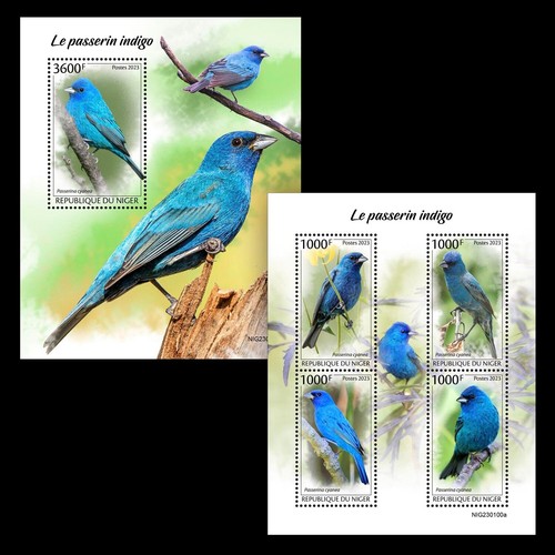 Indigo bunting birds mnh - birds,