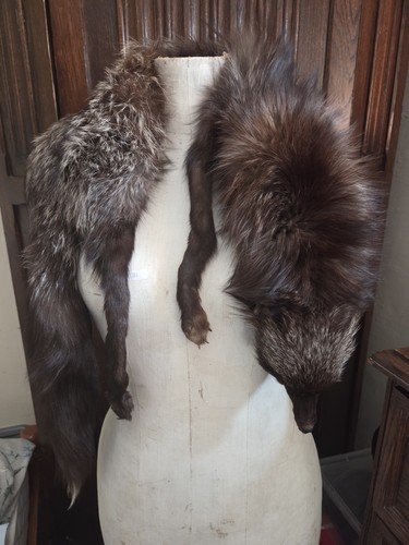 Beautiful vintage fox fur - beautiful,