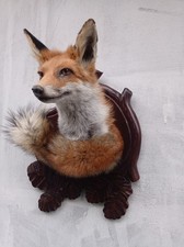 red fox taxidermy mask carved