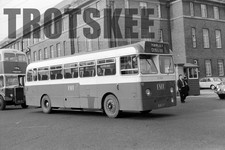 35mm Negative PMT AEC Reliance