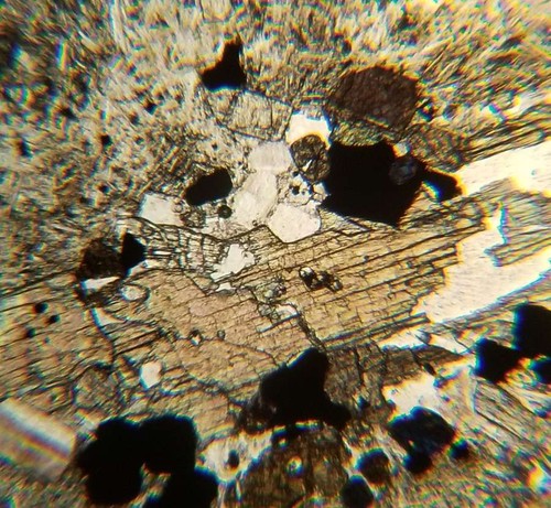 Andesite from baker - mt.,