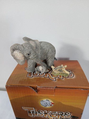 Tuskers love watching - tuskers,
