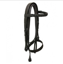 WORKING HUNTER HUNT SHOWING