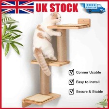 Cat Climbing Shelf Wall