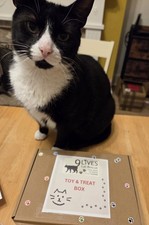 9 Lives Cat Rescue Toy & Treat